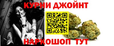 дмт Новозыбков