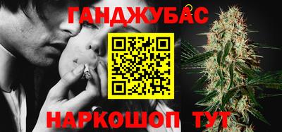дмт Новозыбков