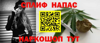 дмт Новозыбков